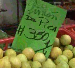 Promueven producción limpia en cultivo de Limón de Pica destinado a exportación