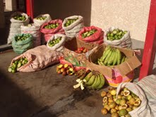 2 toneladas y media de frutas provenientes de Bolivia decomisó el SAG Tarapacá