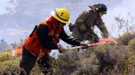 Rechazo del gobierno de dos créditos BID entregados para prevenir incendios en sur de Chile «porque eran de Bachelet» aumenta tensión política