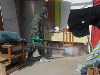 Fumigarán 5.905 viviendas en Alto Hospicio para terminar con insectos y roedores