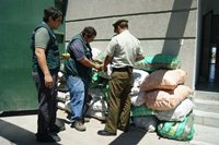 Carabineros y el SAG frustran ingreso ilegal de 1.350 kilos de limones desde Bolivia