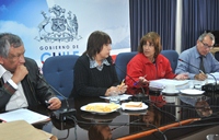 CORE aprueba concesión de terrenos a Municipalidad de Alto Hospicio