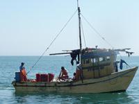 Subpesca anuncia la existencia de 8 mil seguros de vida para pescadores artesanales