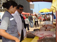 Decomisan pescados y mariscos en pescaderías del sector norte de Iquique
