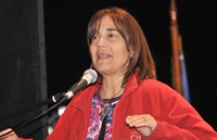 Intendenta de Tarapacá califica ataque incendiario al SEA como “un hecho policial común”