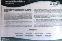 Dubost pedirá reunión con Piñera para plantear oposición de Iquique a termoeléctricas
