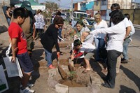 Iquiqueños arborizan barrios con CONAF y MINVU