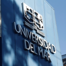 Universidades estatales esperan propuesta del Mineduc para definir ayuda a estudiantes de U. del Mar