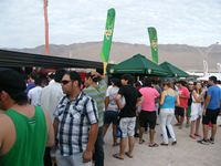 Iquique tendrá una segunda versión del Festival de la Cerveza