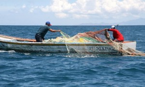 Tribunal Constitucional no acoge recursos de anulación de Ley de Pesca. Dictamen es inapelable
