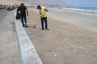 Municipio realiza limpieza en Playas de Iquique
