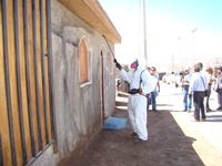 Inician control de plagas en la comuna de Alto Hospicio