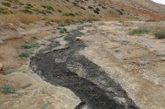 Derrame de petróleo de Teck Quebrada Blanca dañó suelo precordillerano, flora y fauna