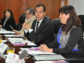Conformaron Comisión Regional para la Igualdad de Oportunidades