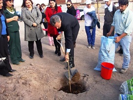 Arborizan sitio eriazo en Alto Hospicio en el Día de la Juventud