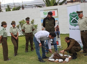 Programa arborización: CONAF  donó 170 especies a Carabineros