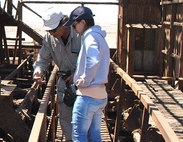 Becada española estudia patrimonio salitrero en Oficina Humberstone