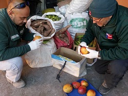 SAG decomisa 700 kilos de productos agrícolas en Colchane