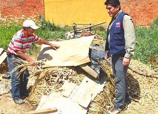 Lluvias en Camiña, Nama, Apamilca y Chapiquilta, ayudan a remover plagas en los cultivos