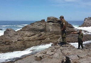 Intensa búsqueda de hombre que fue arrastrado por olas en el sector de playa Río Seco