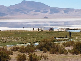 ¡Alerta! Derogan decreto que creó el Parque Nacional Salar del Huasco