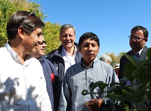 Embalse para 337  metros cúbicos de agua asegurará , el riego de los cultivos típicos del oasis de Pica-Matilla
