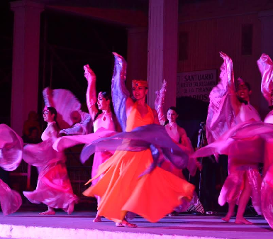 Realizan homenaje a Virgen del Carmen en La Tirana