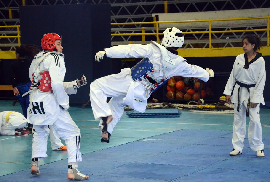Tarapacá ya cuenta con selección de taekwondo para LDES