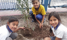 Niños y niñas participan en jornada para aprender a cuidar el medioambiente