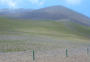 A pleno desierto, a más de 200 metros sobre el nivel del mar, florecen cerros de Iquique