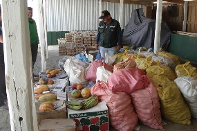 Destruyen 19.260 unidades de huevos  y 2 toneladas de productos agrícolas ingresados por paso no habilitado al país