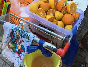 Decomisan frutas y helados durante fiscalización sanitaria por venta de alimentos en vía pública