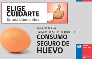 Confirman presencia de la bacteria Salmonela D en caso de intoxicación en Alto Hospicio