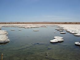 En plena crisis comunicacional SQM adquiere 50% de acciones de Minera Exar a Lithium ingresando al mercado del Litio en Argentina