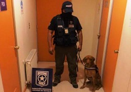 Can detector de Drogas, Kazan, descubre cargamento de cocaína en bus interprovincial