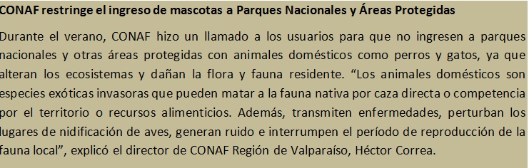 Reglamento inédito en Chile evitará el transporte de especies invasoras dentro del Parque Nacional Archipiélago Juan Fernández