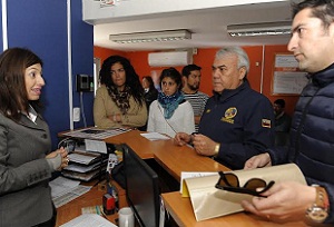 Denuncia en Fiscalía, por matanza de perros en Alto Hospicio