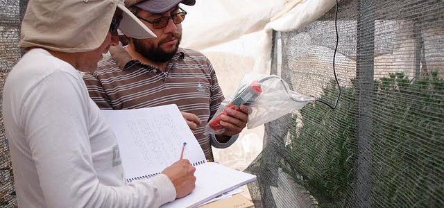 En Seminario Internacional estudiarán el reuso residual de aguas urbanas para utilizarla en la agricultura de zonas áridas