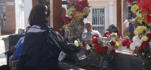 Para evitar presencia del mosquito del Zika, prohiben usar agua en floreros en cementerios