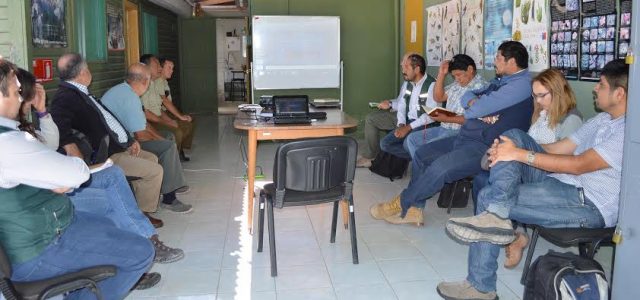 Toman acciones para evitar efectos del contrabando en Pica