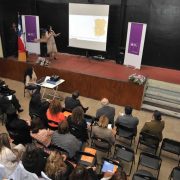 Más de 1.800 casos de violencia contra la mujer recibió el SERNAM durante el 2015