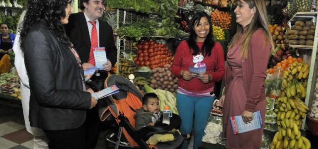 Subsecretario de Salud Pública anunció medidas para intensificar prevención del mosquito Aedes aegypti en Tarapacá