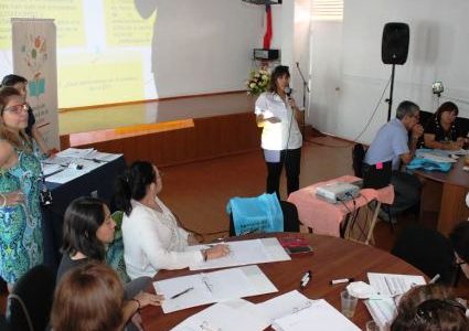 Agencia de Calidad de la Educación y 6 colegios de Iquique en  Encuentro Local de Evaluación Progresiva