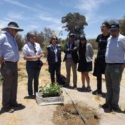 Universidad Arturo Prat difunde avances en el proceso de producción del Vino del Desierto