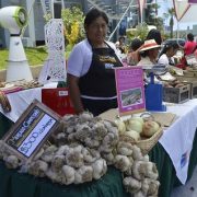 Productores agrícolas locales y artesanos, exponen sus productos fortaleciendo la identidad cultural