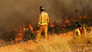 Incendios forestales: Colegio de Periodistas llama a la ciudadanía a informarse a través de fuentes de información comprobables