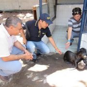 Lobitos marinos rescatados por Sernapesca, serán sometidos a un plan de recuperación en el Centro del municipio.