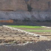 INDAP extiende etapa de reconsideración de planes de manejo no seleccionados