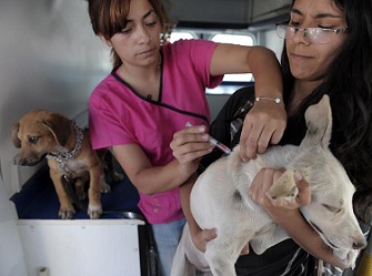 Llaman a hospicianos que  inscriban a sus mascotas para que puedan ser esterilizadas