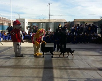 En Alto Hospicio se suman a programa de tenencia responsable de mascotas